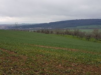 Tocht Stappen Loisy - LES HAUTEURS DE LOISY - Le Grand Couronné - Photo