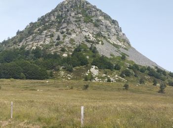 Excursión Bici de carretera Le Lac-d'Issarlès - col de Mezilhac et le Gerbier de jonc - Photo