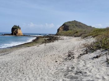 Trail Walking Parroquia Machalilla - Los Frailes - Photo
