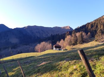 Percorso Marcia Samoëns - Boucle Pkg Allamands-Refuge Bostan-Col/Refuge de la Golèse-Allamands - Photo