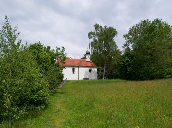 Excursión A pie Viechtach - Viechtach, Rundweg Nr. 5 - Photo