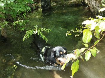 Tour Wandern Trespoux-Rassiels - filles de manu 1juin24 - Photo