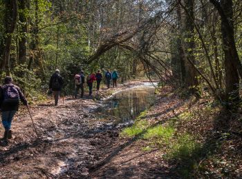 Randonnée Marche Soligny-la-Trappe - Soligny-la-Trappe - Tourouvre - voie Sud 11 Km - Photo