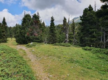 Tocht Stappen Saint-Agnan-en-Vercors - pas de berrieves rocher de segure - Photo