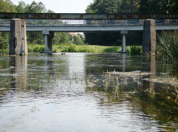 Tour Zu Fuß Wysoki Most - Ścieżka edukacyjna Puszcza - Photo