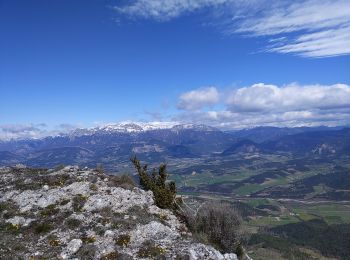 Randonnée Marche Aucelon - crêtes d'Aucelon  - Photo