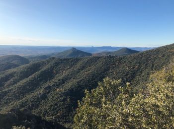 Excursión Senderismo Montpeyroux - Le pic par la gauche  - Photo