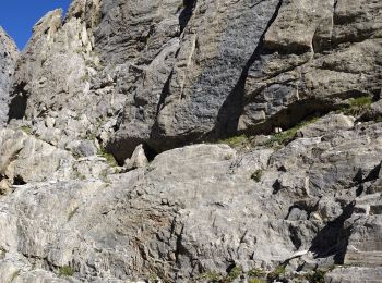 Tour Klettern Pralognan-la-Vanoise - Arête Ouest de l'aiguille du petit Arcelin - Photo