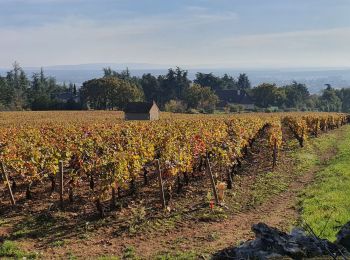 Percorso Marcia Givry - Boucle de Givry à Russilly - Photo