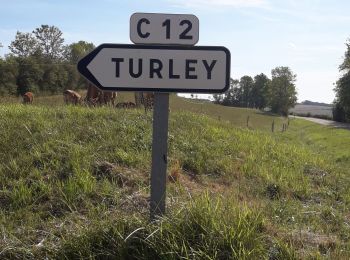 Tocht Stappen Corsaint - rando circuit turley  Corsaint . - Photo