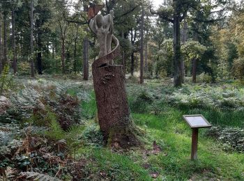 Tour Wandern Crécy-en-Ponthieu - LP80_Crecy Ponthieu_Scultures bois - Photo