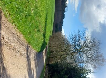 Randonnée Marche Aydoilles - balade autour et dans Aydoilles - Photo