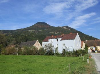 Tocht Te voet Frohnleiten - Wanderweg 10 Gschwendtrundweg - Photo