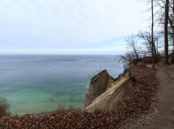 Trail On foot Sassnitz - Sassnitz - Waldhalle - Werder - Sassnitz - Photo