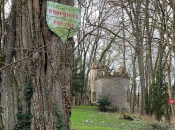 Randonnée Marche Chaumes-en-Brie - 2024 02 chaumes en Brie - Photo