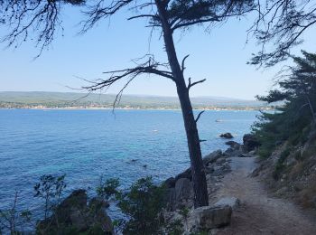 Tocht Stappen Bandol - Bandol - St Cyr par le sentier du littoral - Photo