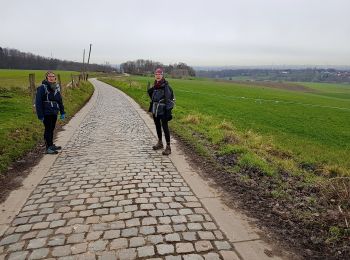 Percorso Marcia Beersel - 2019-01-10 Boucle Huizingen 22 km - Photo