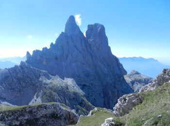 Tocht Te voet Primiero San Martino di Castrozza - IT-E721 - Photo