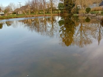 Tour Wandern Colletot - Colletot à Corneille sur Risle - Photo