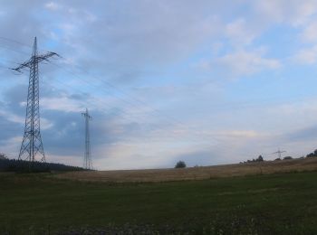 Tocht Te voet Morschen - Licherode Rundweg L4 - Photo