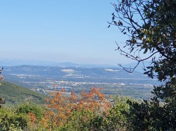 Tour Wandern Bourg-Saint-Andéol - forêt de Laoul - Photo