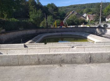 Tour Wandern Ougney - Ougney - Photo
