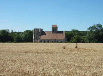 Trail On foot Magny-en-Vexin - L’église de Nucourt par le bois de l’Île - Photo