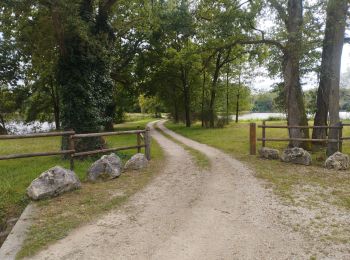 Tour Wandern Pierrefitte-sur-Sauldre - ly - Photo