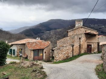 Tour Wandern Creysseilles - Magerouan Le Chier 14KM - Photo