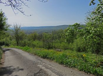 Randonnée Marche Vayrac - Vayrac- Puy d'Issolud - Photo