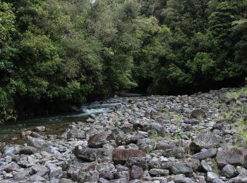 Tour Zu Fuß  - Te Araroa - 06 Wellington - a Poads Road, Levin to Otaki Forks - Photo