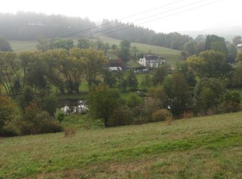 Randonnée A pied Schleiz - Rundwanderweg Weckersdorf - Photo