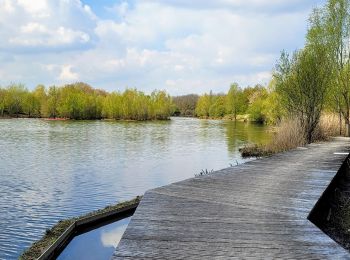 Trail Walking Quincy-sous-Sénart - Boucle 22 km Quincy - Lieussaint- Combs -Ru du Hauldres - Photo