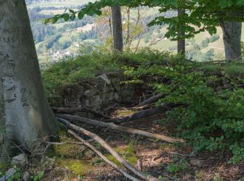 Randonnée A pied Maria Lankowitz - Wanderweg L2 - Photo