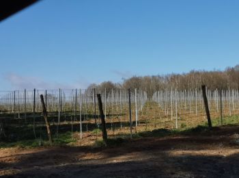 Percorso Mountainbike Yvoir - GODINNE ... par le sentier des