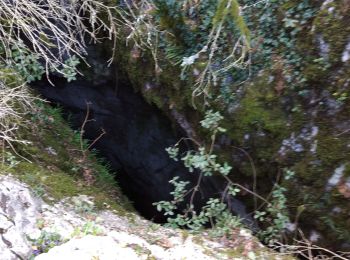 Excursión Senderismo Vallon-Pont-d'Arc - 07 grotte derocs chauvet - Photo