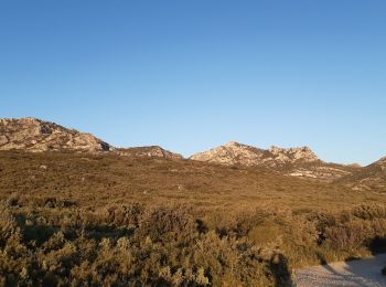 Excursión Senderismo Eyguières - Tour des Opies via le Vallon des Glauges - Photo