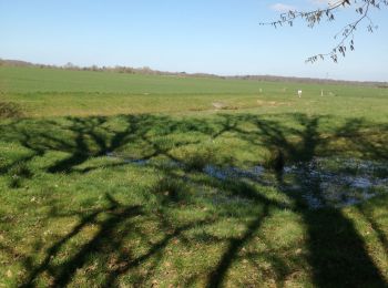 Randonnée Marche Hecmanville - les mares d Hecmanville - Photo