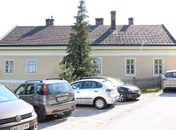 Tocht Te voet Gemeinde Kaumberg - Kaumberg - Veiglkogel - Photo