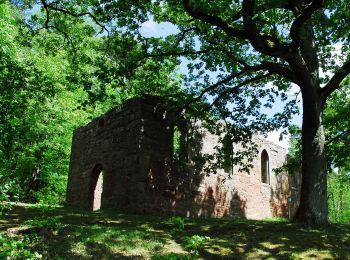 Randonnée A pied Bürgstadt - Rundwanderweg Bürgstadt Stutz 3: Ringwall-Weg - Photo