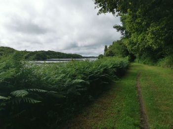 Tocht Stappen Plonéour-Lanvern - plan d eau tremeoc - Photo