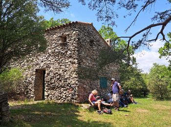 Tocht Stappen Grasse - La croix de Cbris - Photo