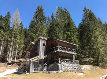 Tour Zu Fuß Ruhpolding - Wanderweg 44 - Ruhpolding - Photo