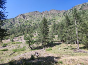 Tour Wandern Vinadio - Étape 4 Refuge Alexandris Foche / Isola 2000 - Photo