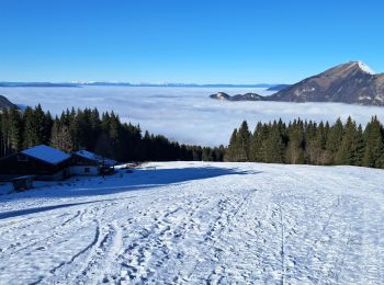 Percorso Racchette da neve Mont-Saxonnex - lac bénit  - Photo