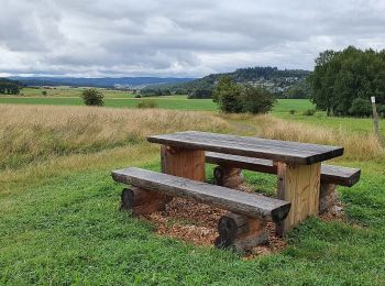 Percorso A piedi Biebertal - Rennweg Bierbertal - Herborn - Photo