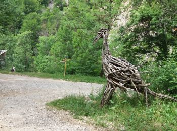 Percorso Marcia Le Saix - Le Fai - Lac de Peyssier - Photo