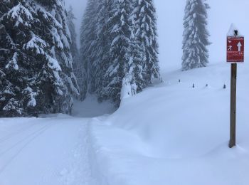 Excursión A pie Gemeinde Unken - Wanderweg 16 - Winklmoosalm - Hemmersuppenalm - Photo