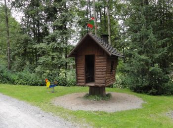 Percorso A piedi Jöhstadt - Ww Großer Ringweg Steinbach - Photo