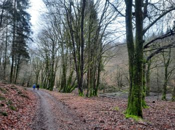 Tocht Stappen Habay - marche adeps Anlier  - Photo